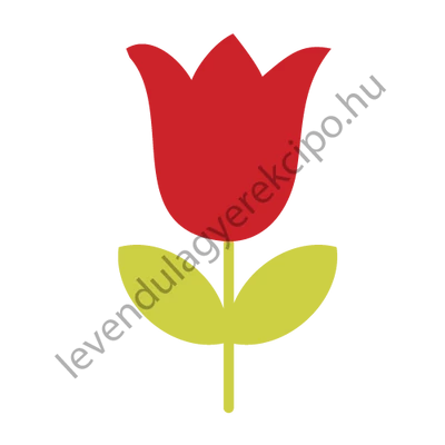 Tulipán ovis öntapadós jel 2X2cm